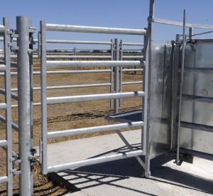 PUERTAS PASO DE HOMBRE