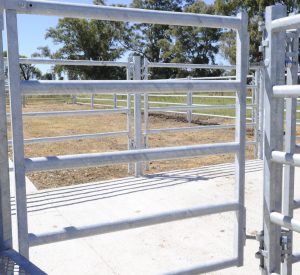 PUERTAS PASO DE HOMBRE