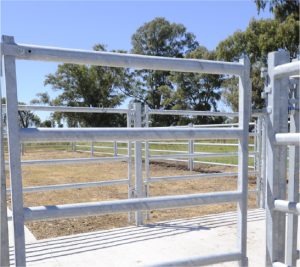 PUERTAS PASO DE HOMBRE