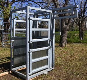 CABINA DEL VETERINARIO