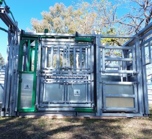 CABINA DEL VETERINARIO