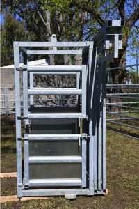 CABINA DEL VETERINARIO