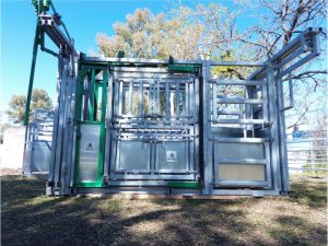 CABINA DEL VETERINARIO